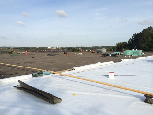 TPO Flat Roofing